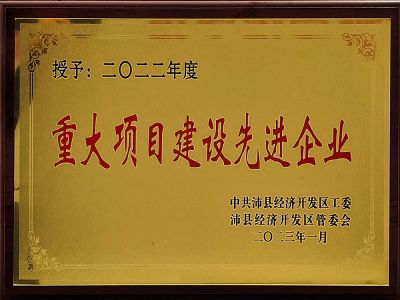 重大項目建設先進(jìn)企業(yè)